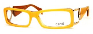 Glasögon EX25603S